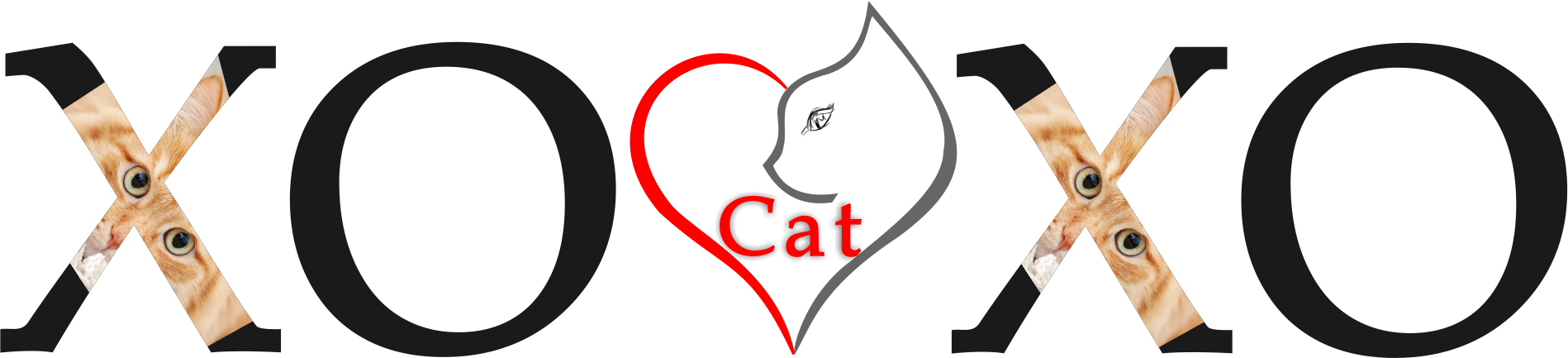 xocatxo.com